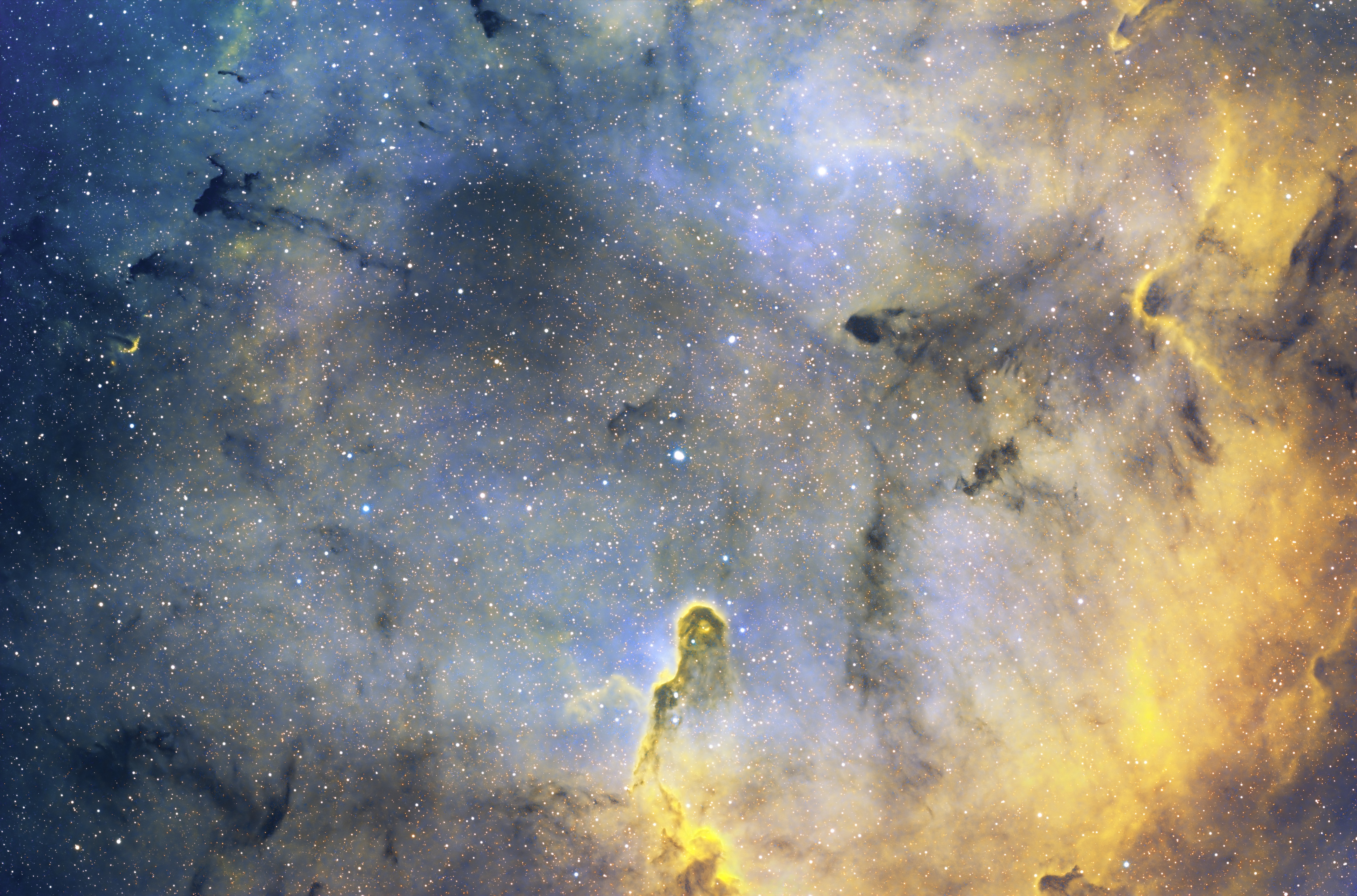 Elefantenrüssel NGC 6820